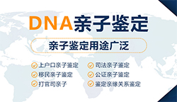 益阳怀孕了需要怎么办理血缘检测最简单方便，益阳孕期亲子鉴定多少费用