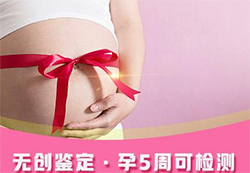 在[益阳]刚怀孕要如何办理亲子鉴定[预约挂号]，益阳孕期亲子鉴定费用多少钱啊